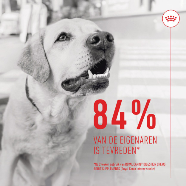 Royal Canin Digestion Chews voedingssupplement hond