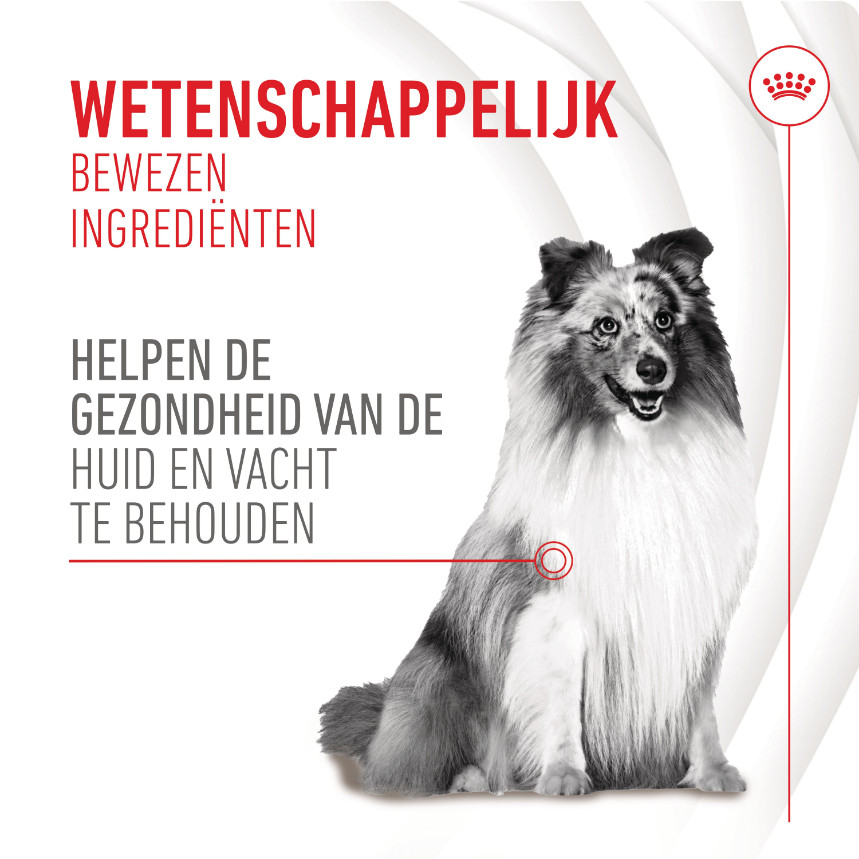 Royal Canin Skin & Coat Chews voedingssupplement hond