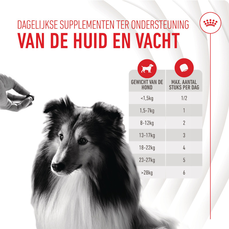 Royal Canin Skin & Coat Chews voedingssupplement hond
