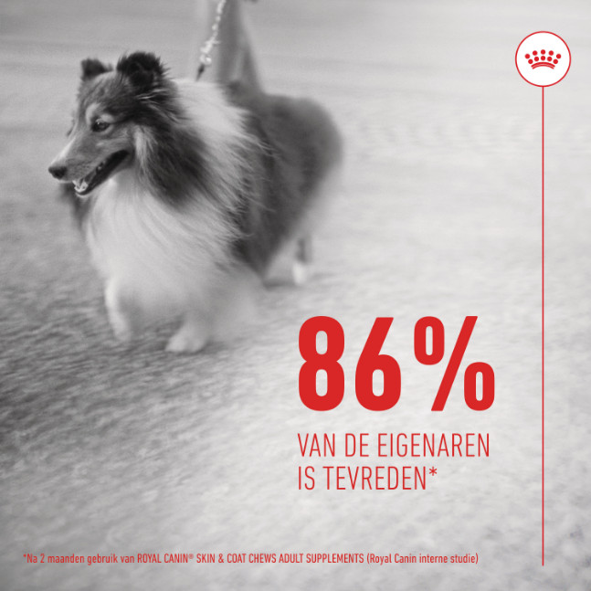 Royal Canin Skin & Coat Chews voedingssupplement hond