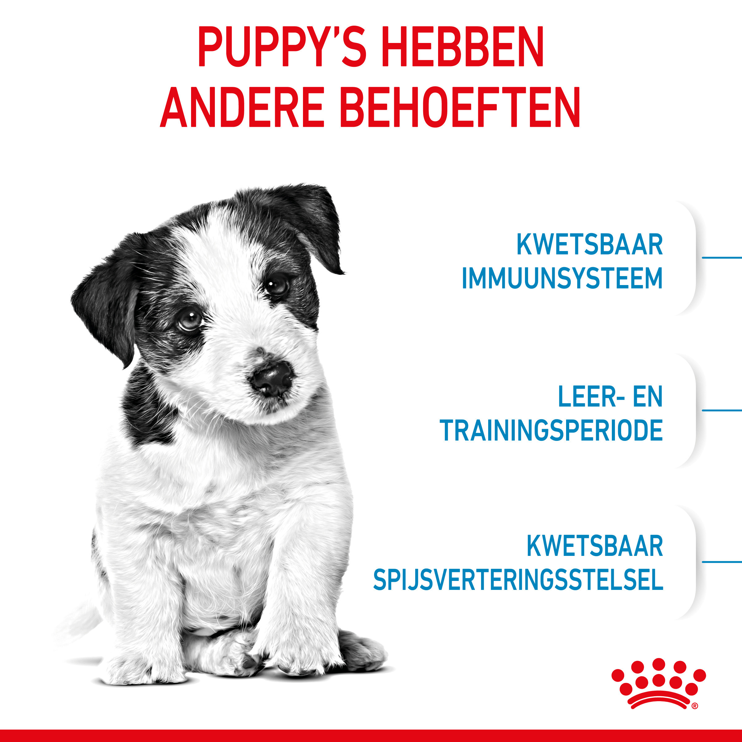 Royal Canin Mini Puppy hondenvoer