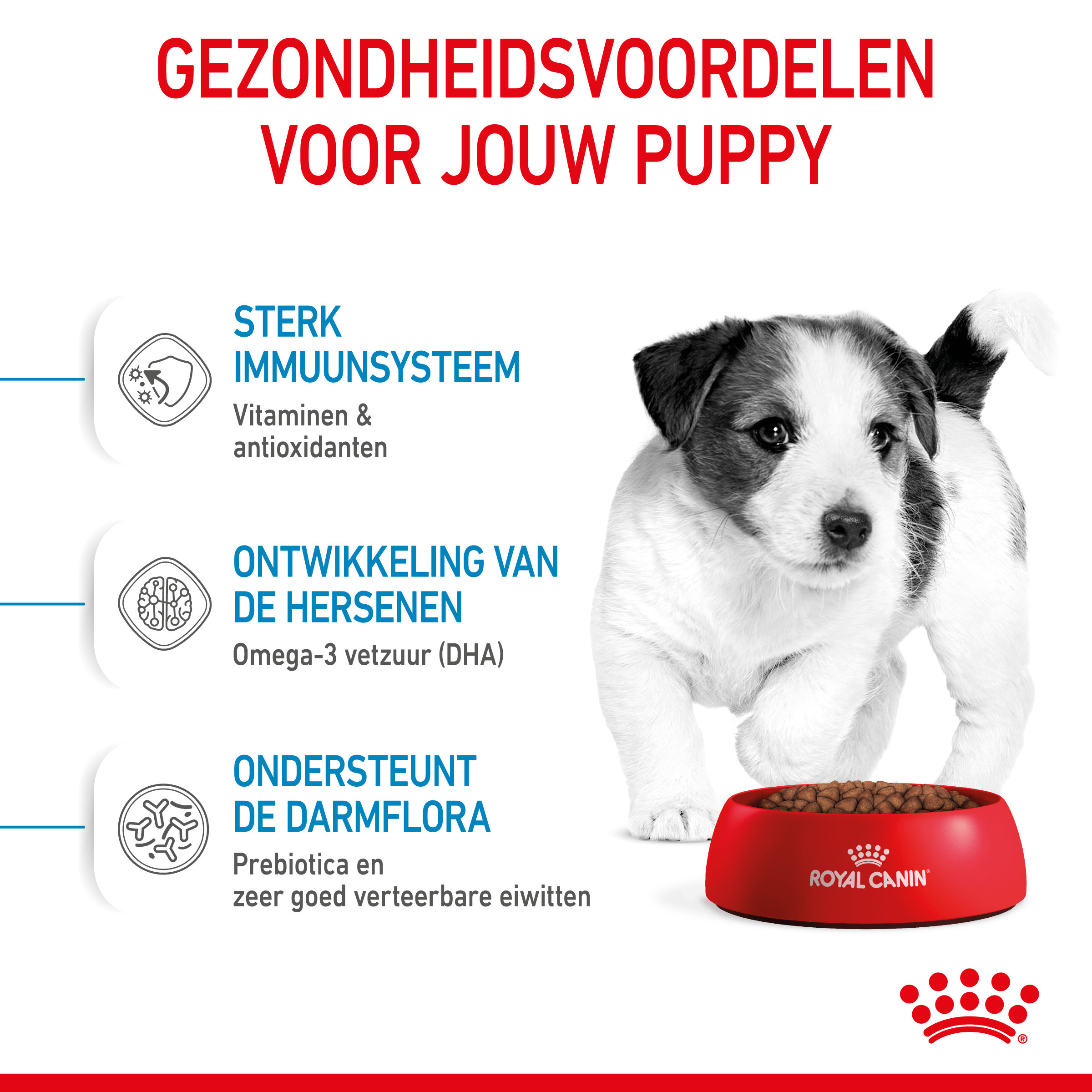 Royal Canin Mini Puppy hondenvoer