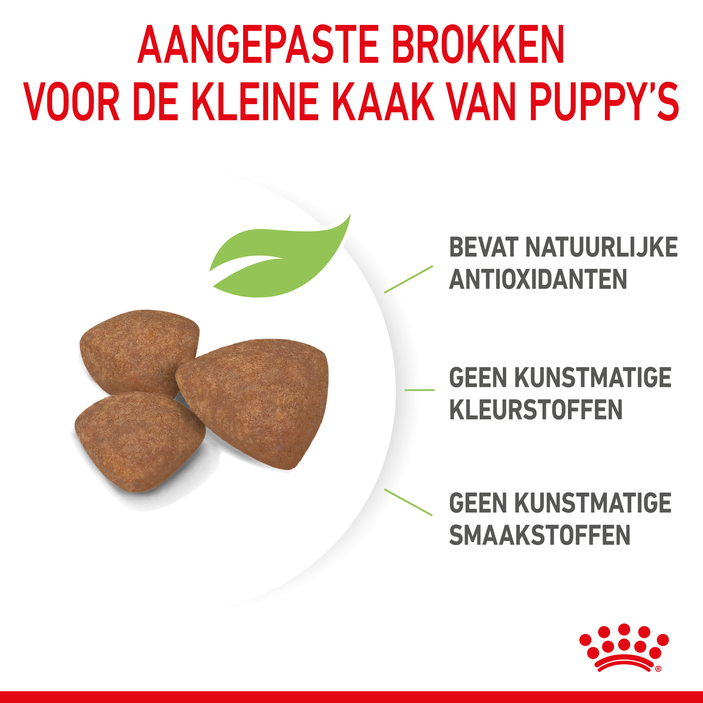 Royal Canin Mini Puppy hondenvoer