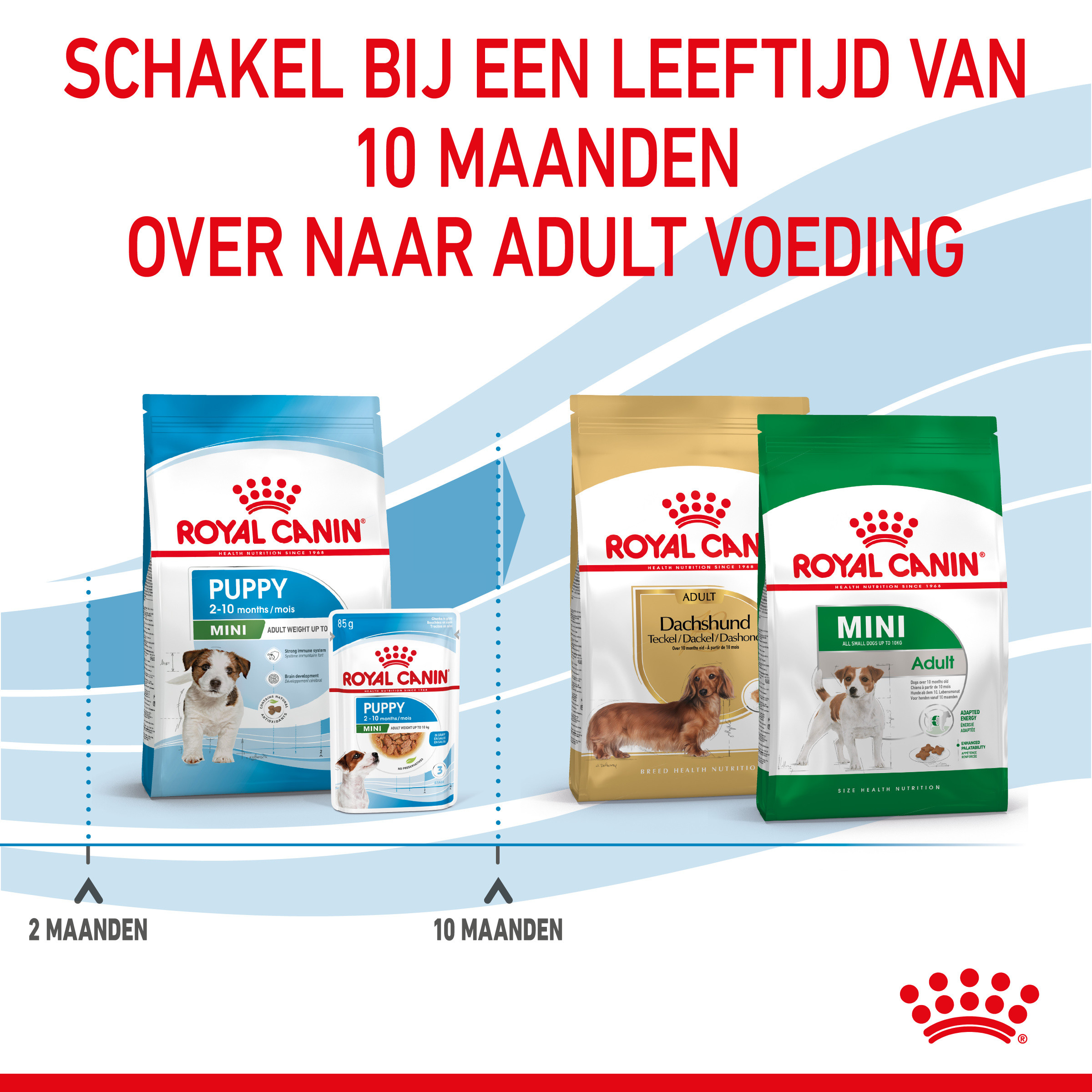 Royal Canin Mini Puppy hondenvoer