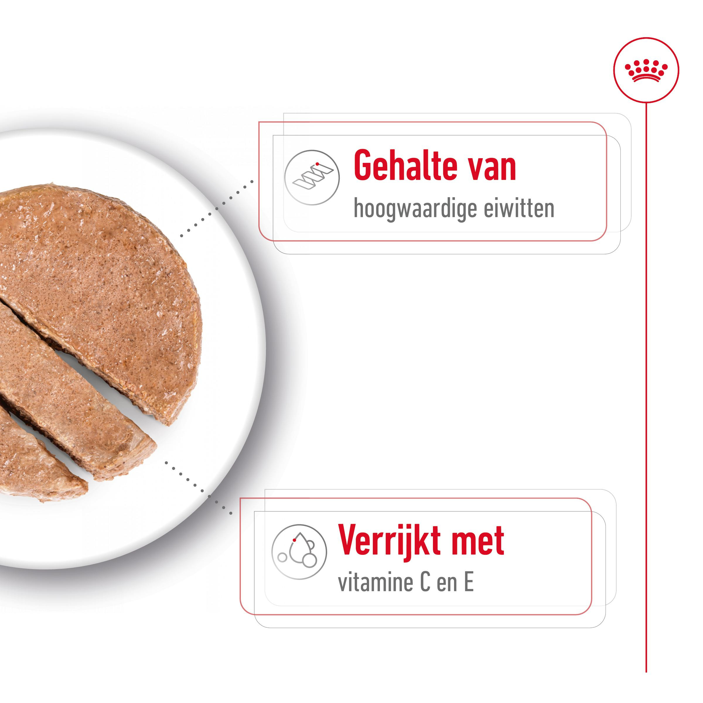 Royal Canin Medium Adult Loaf natvoer hond