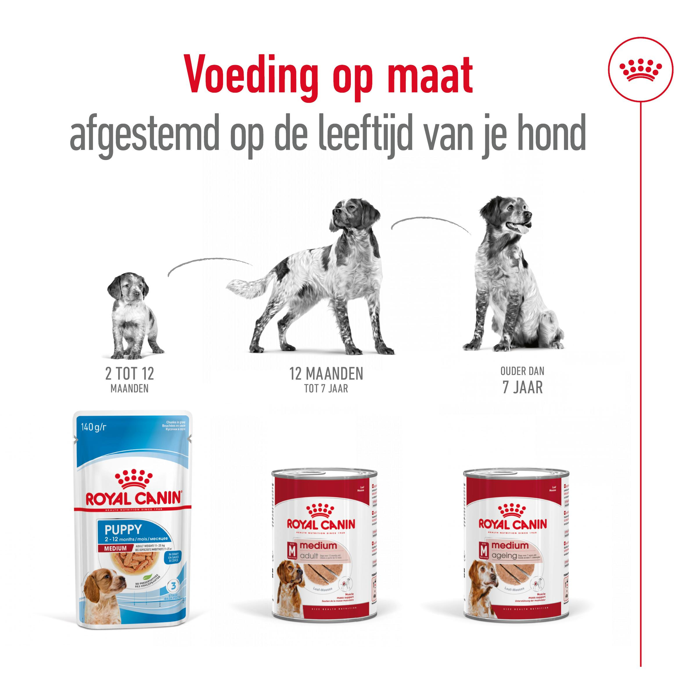 Royal Canin Medium Adult Loaf natvoer hond
