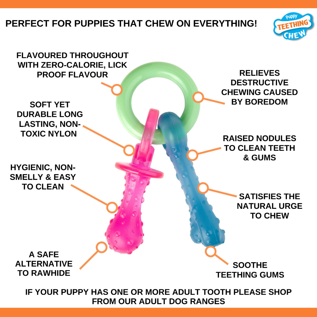Nylabone Puppy Starterkit nylon kauwbotten (kipsmaak)