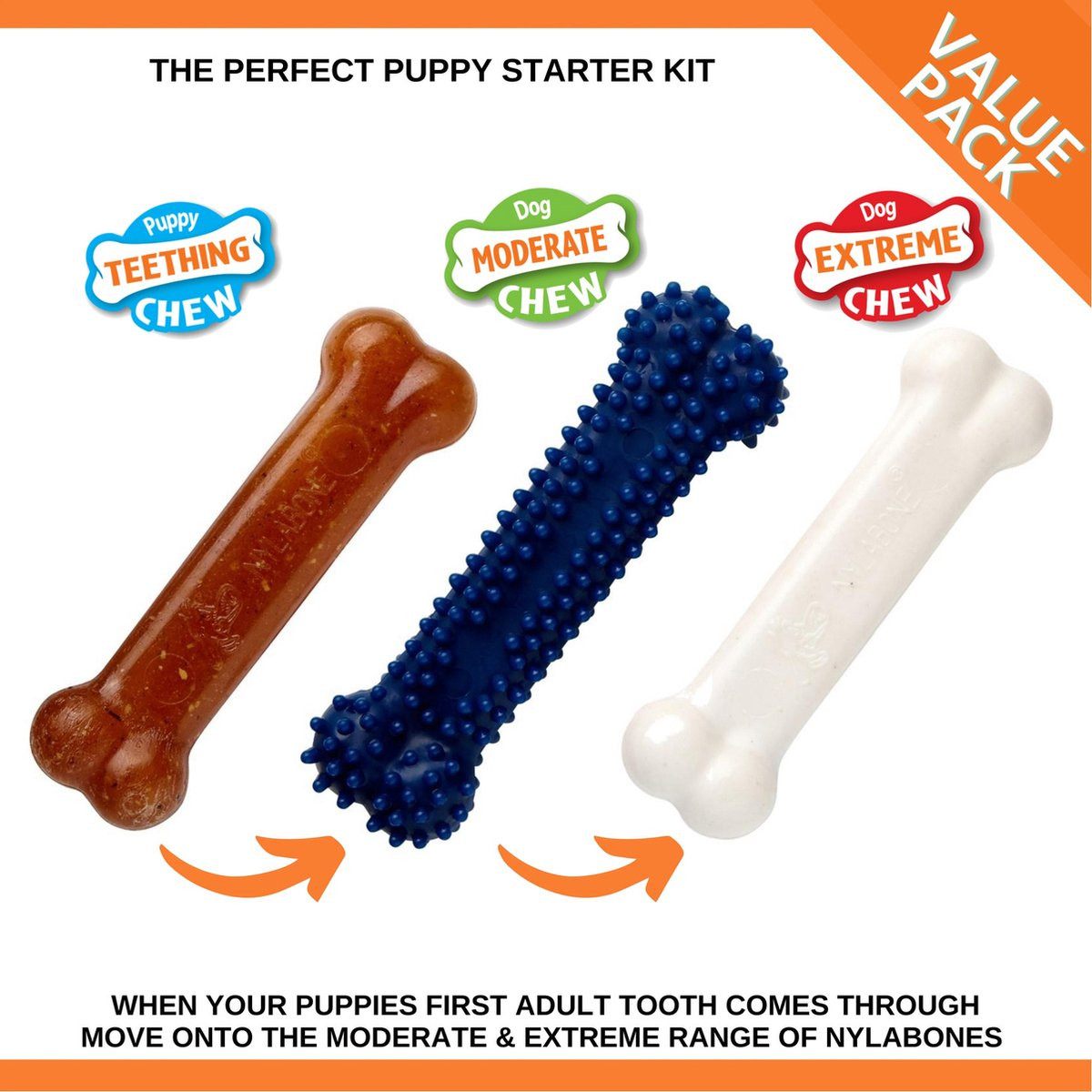 Nylabone Puppy Starterkit nylon kauwbotten (kipsmaak)