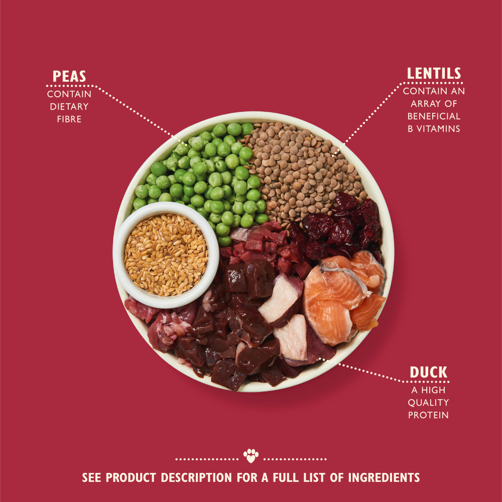 Lily's Kitchen Adult Wild Woodland Walk met eend, zalm en hert hondenvoer Lily's Kitchen Adult Wild Woodland Walk met eend, zalm en hert hondenvoer