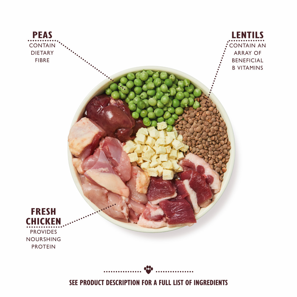 Lily's Kitchen Adult Countryside Casserole kip met eend hondenvoer Lily's Kitchen Adult Countryside Casserole kip met eend hondenvoer