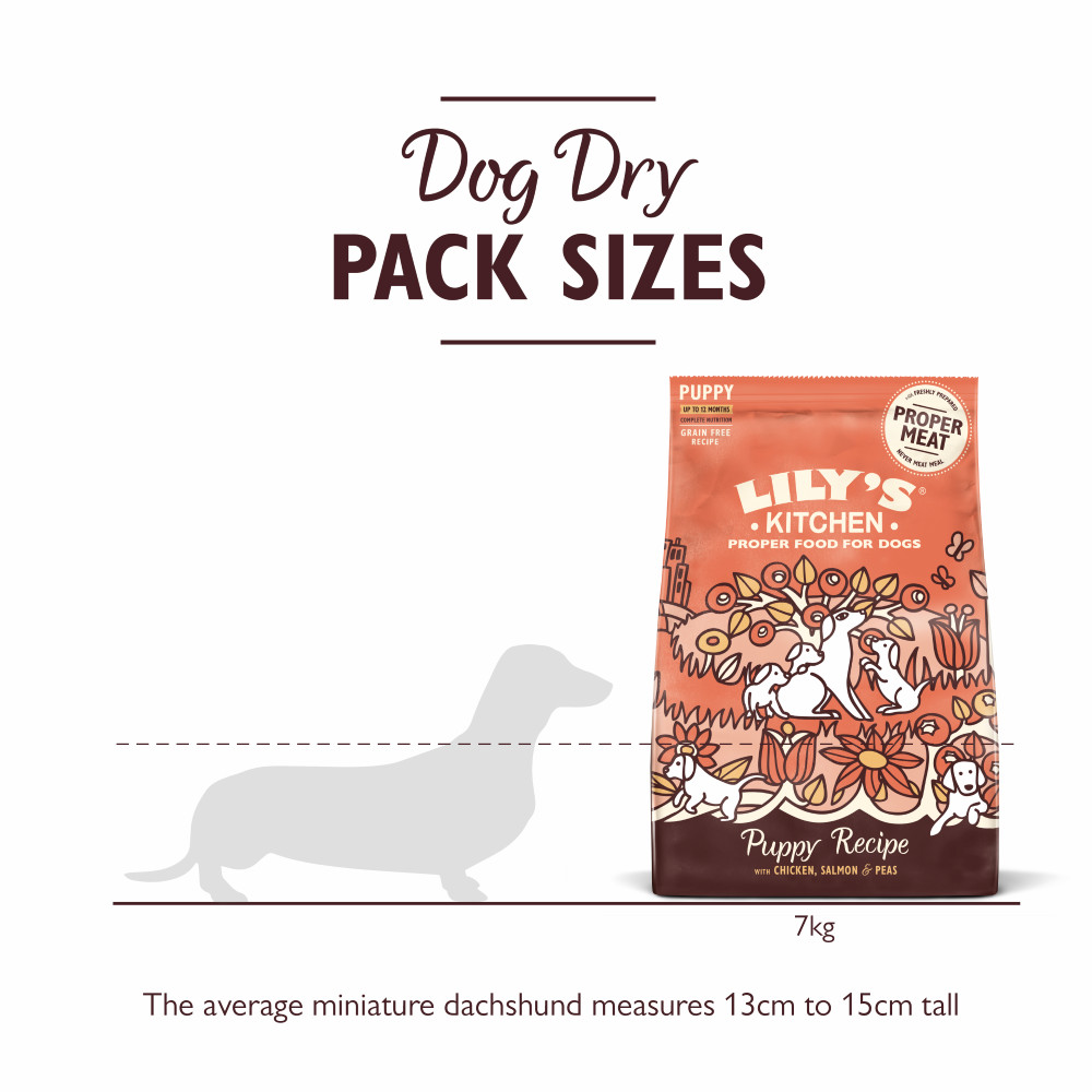 Lily's Kitchen Puppy Recipe kip met zalm hondenvoer