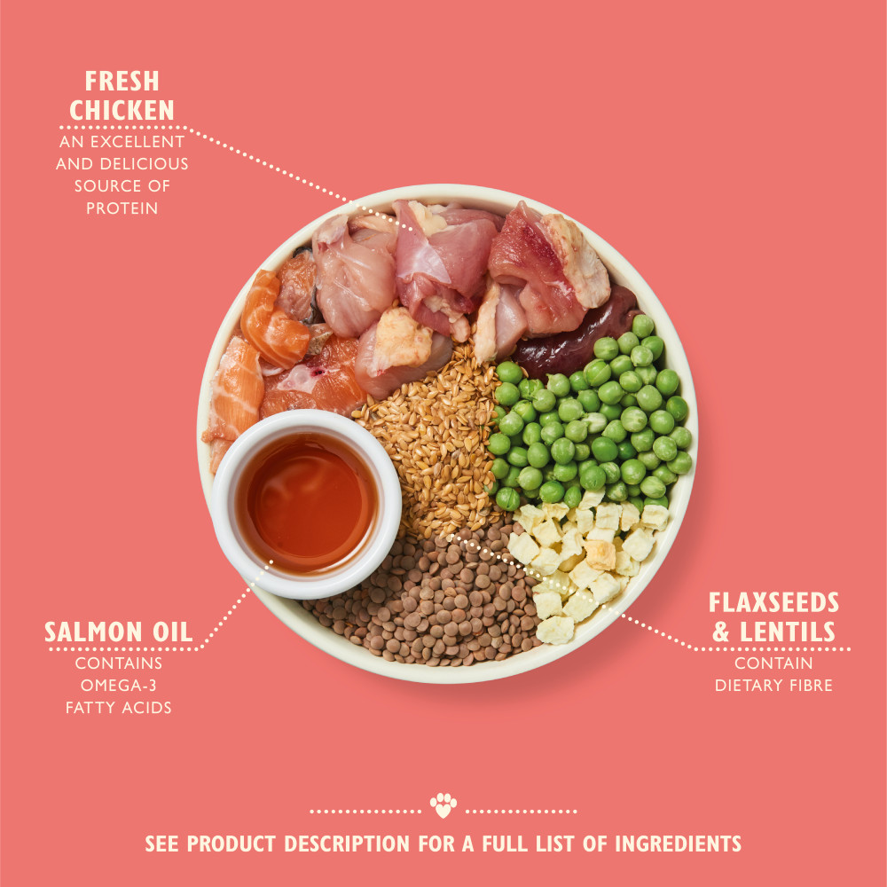 Lily's Kitchen Puppy Recipe kip met zalm hondenvoer