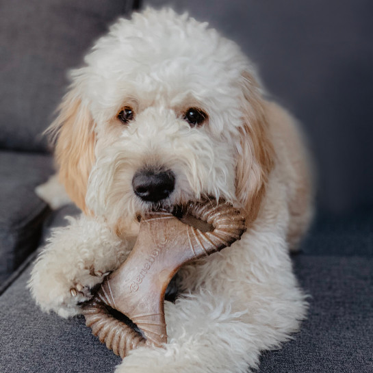Benebone Dental Chew nylon kauwspeelgoed hond (pindakaassmaak)