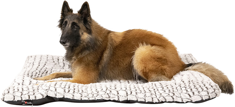 Jack & Vanilla Snakeskin hondenkussen