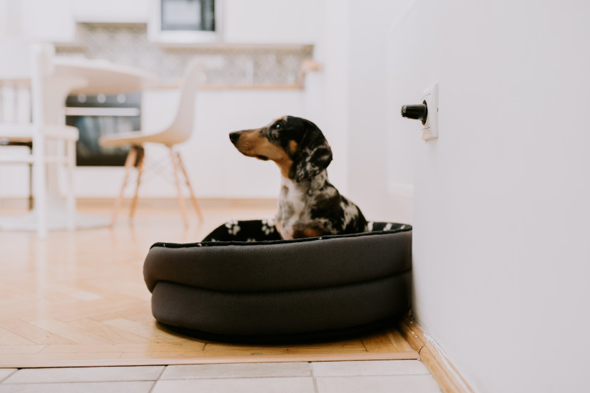 TickLess Home antivlo- en teken stekker voor in huis
