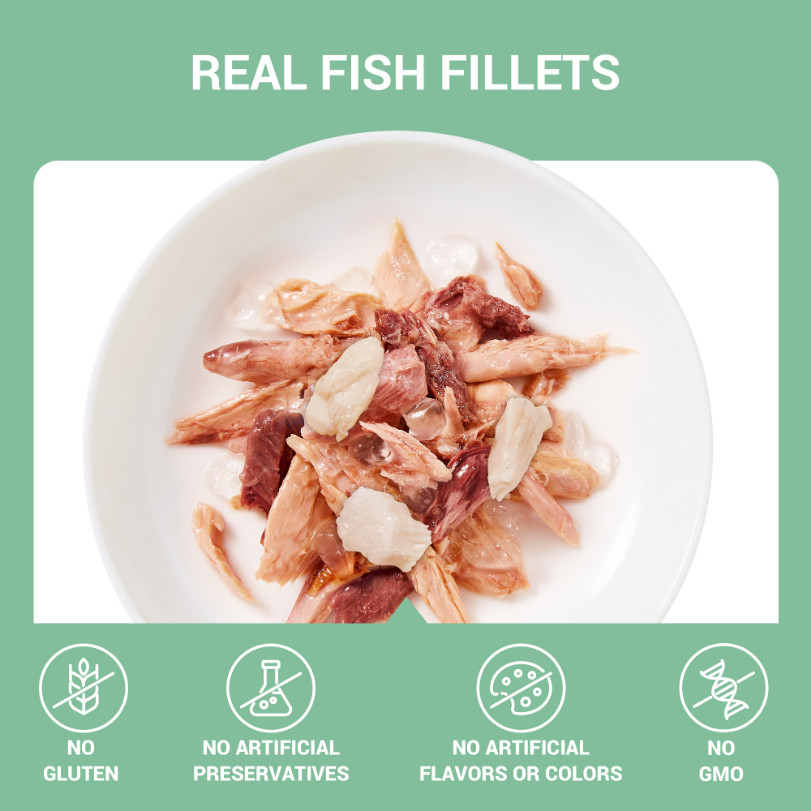 Schesir tonijn met heek (jelly) natvoer kat (blikjes 85 g)