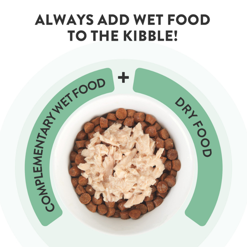 Schesir tonijn met zeebarbeel (jelly) natvoer kat (blikjes 85 g)