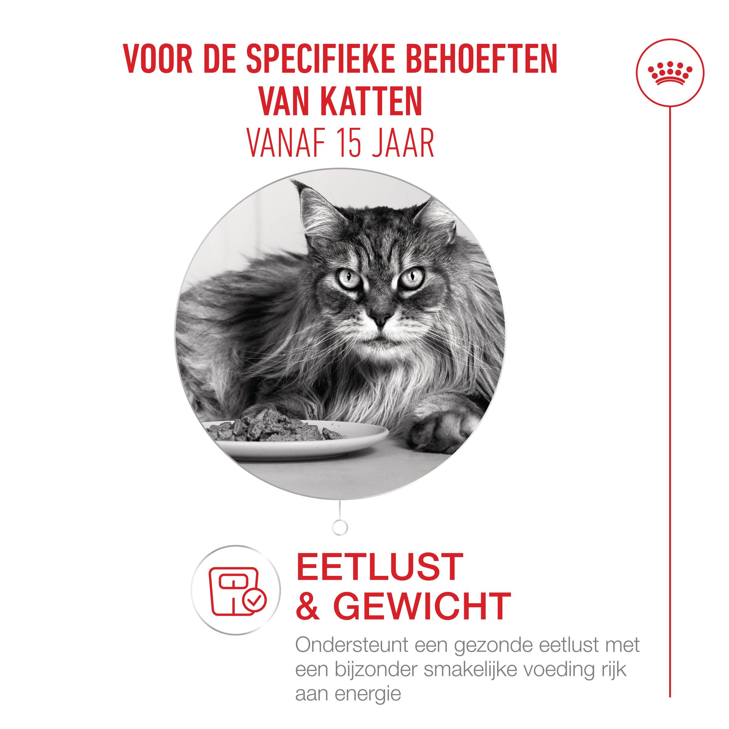 Royal Canin Ageing 15+ kattenvoer
