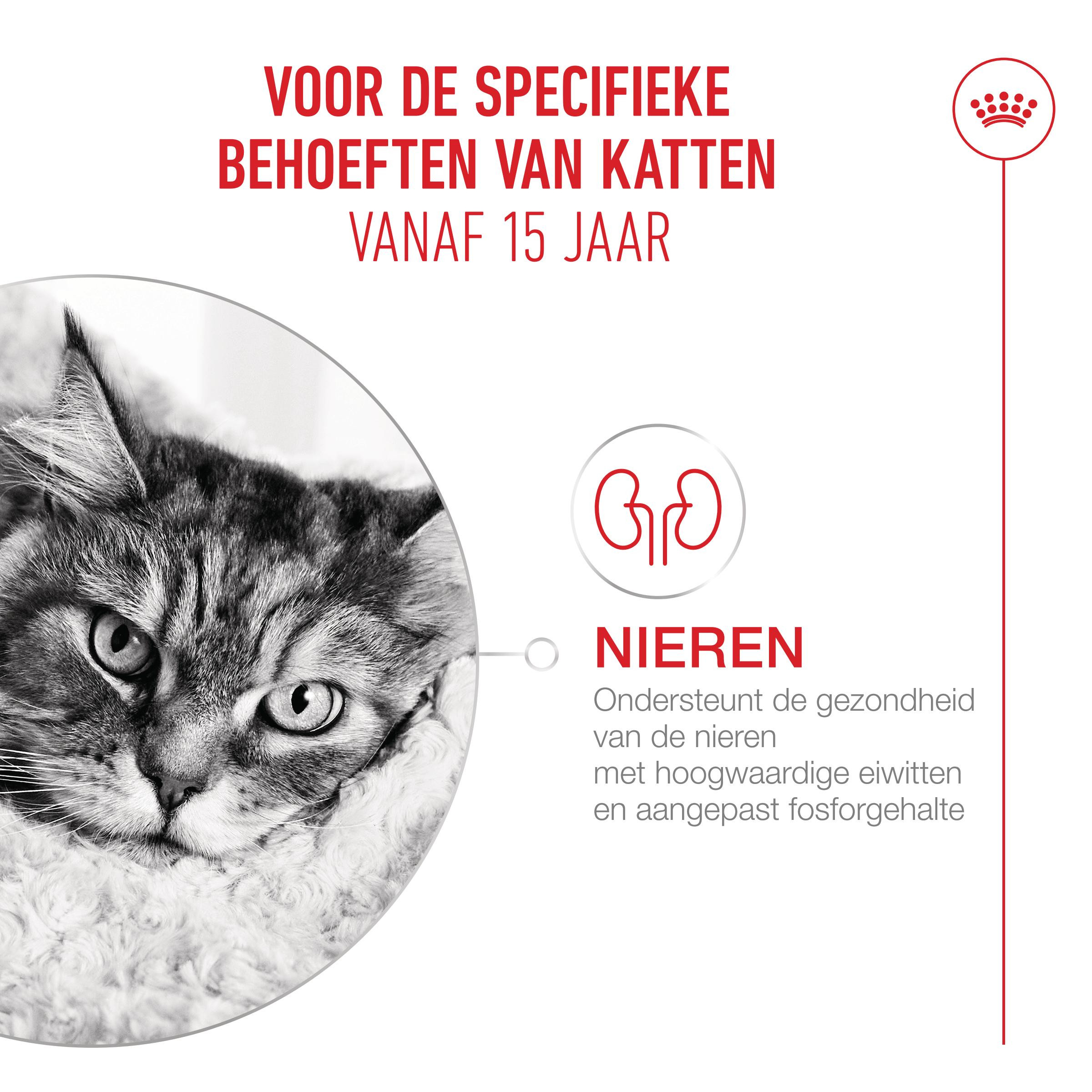 Royal Canin Ageing 15+ kattenvoer