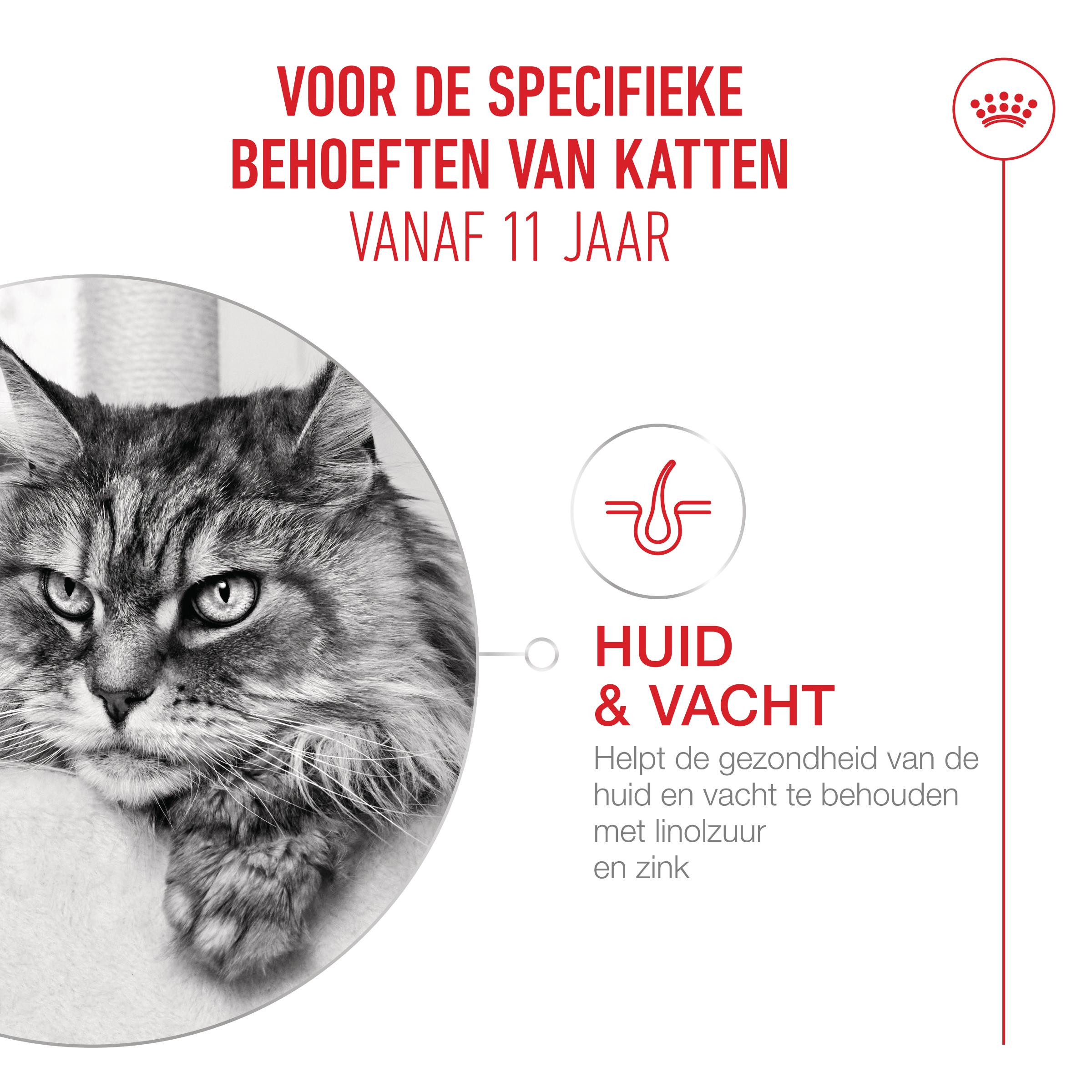 Royal Canin Ageing 11+ kattenvoer