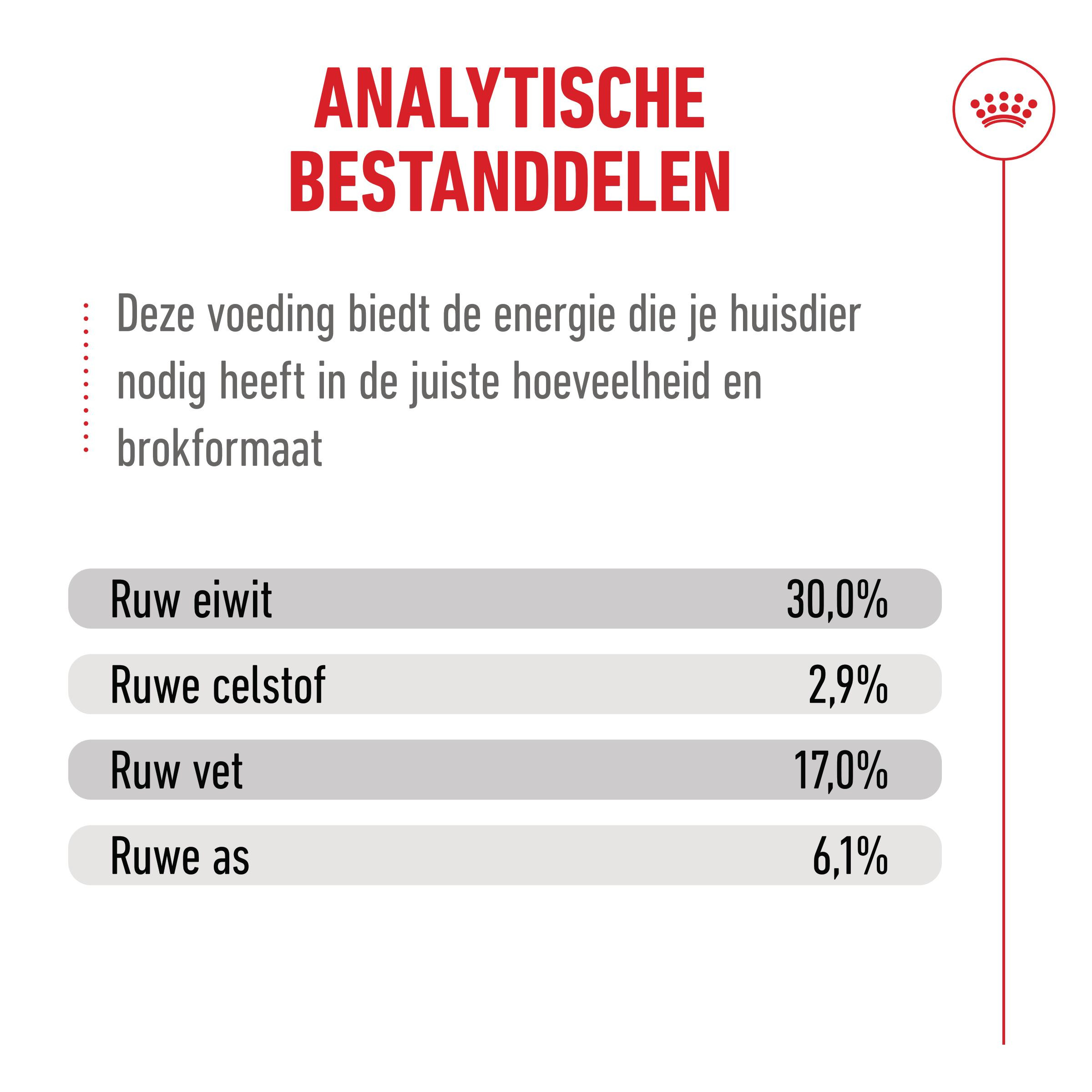 Royal Canin Ageing 11+ kattenvoer