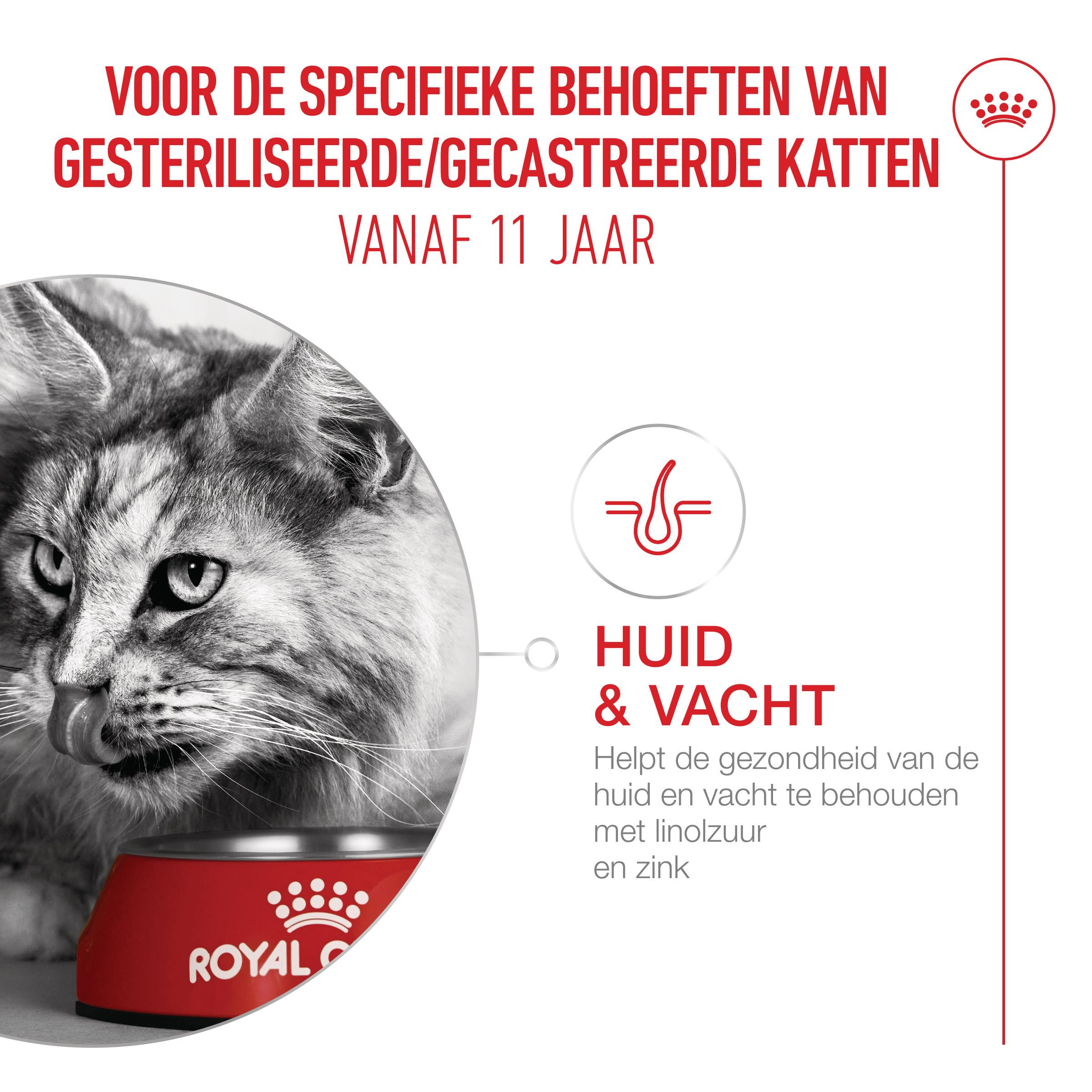 Royal Canin Ageing Sterilised 11+ kattenvoer