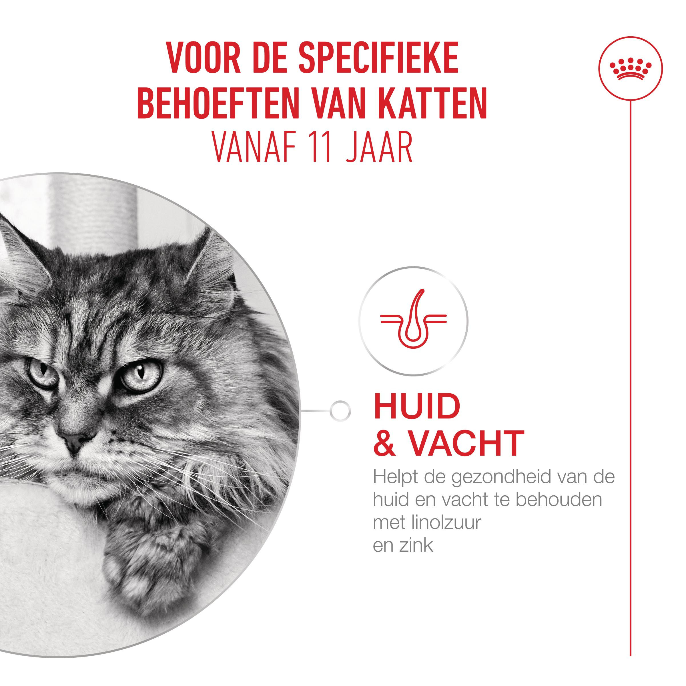 Royal Canin Ageing 11+ natvoer kat (in saus of gelei)