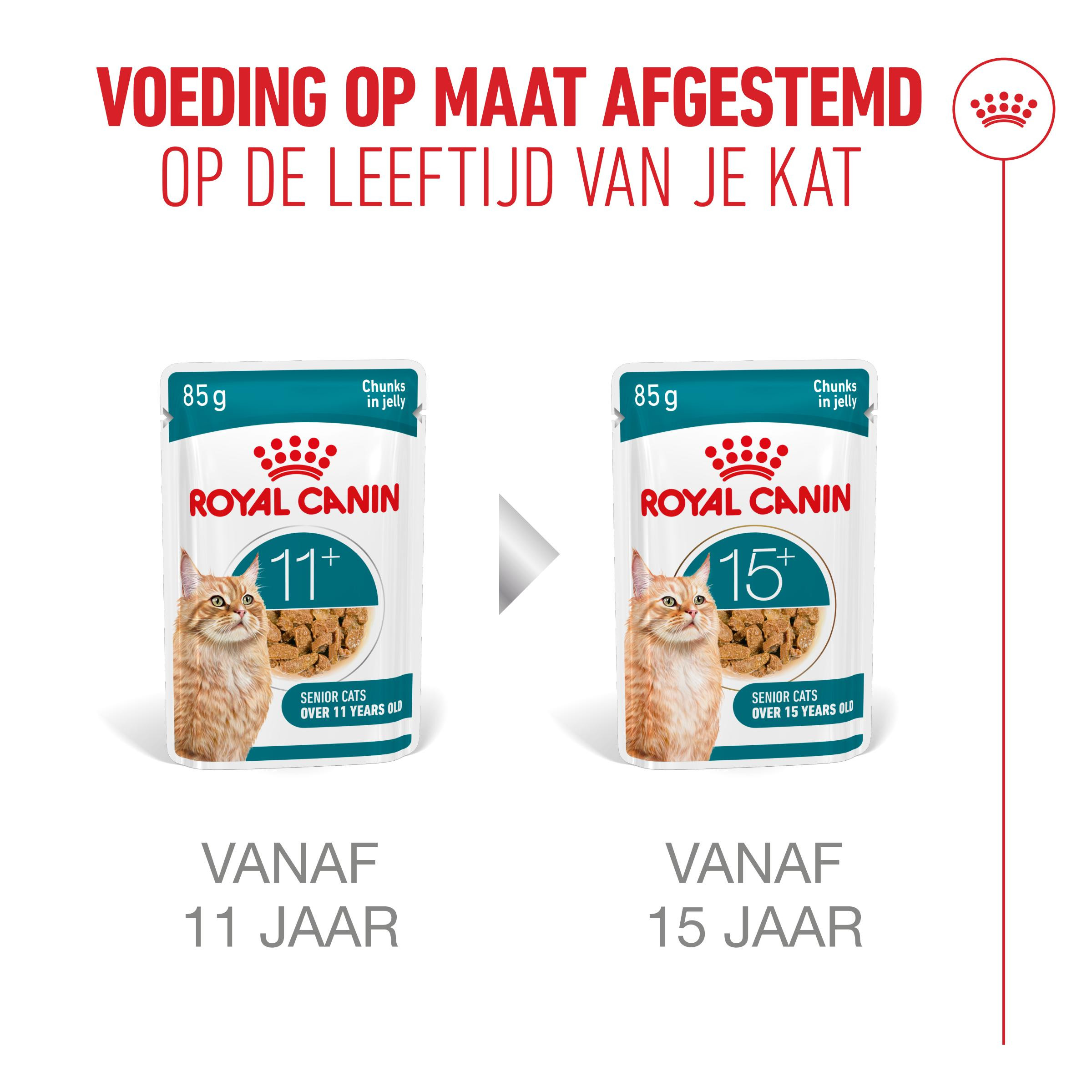 Royal Canin Ageing 11+ natvoer kat (in saus of gelei)