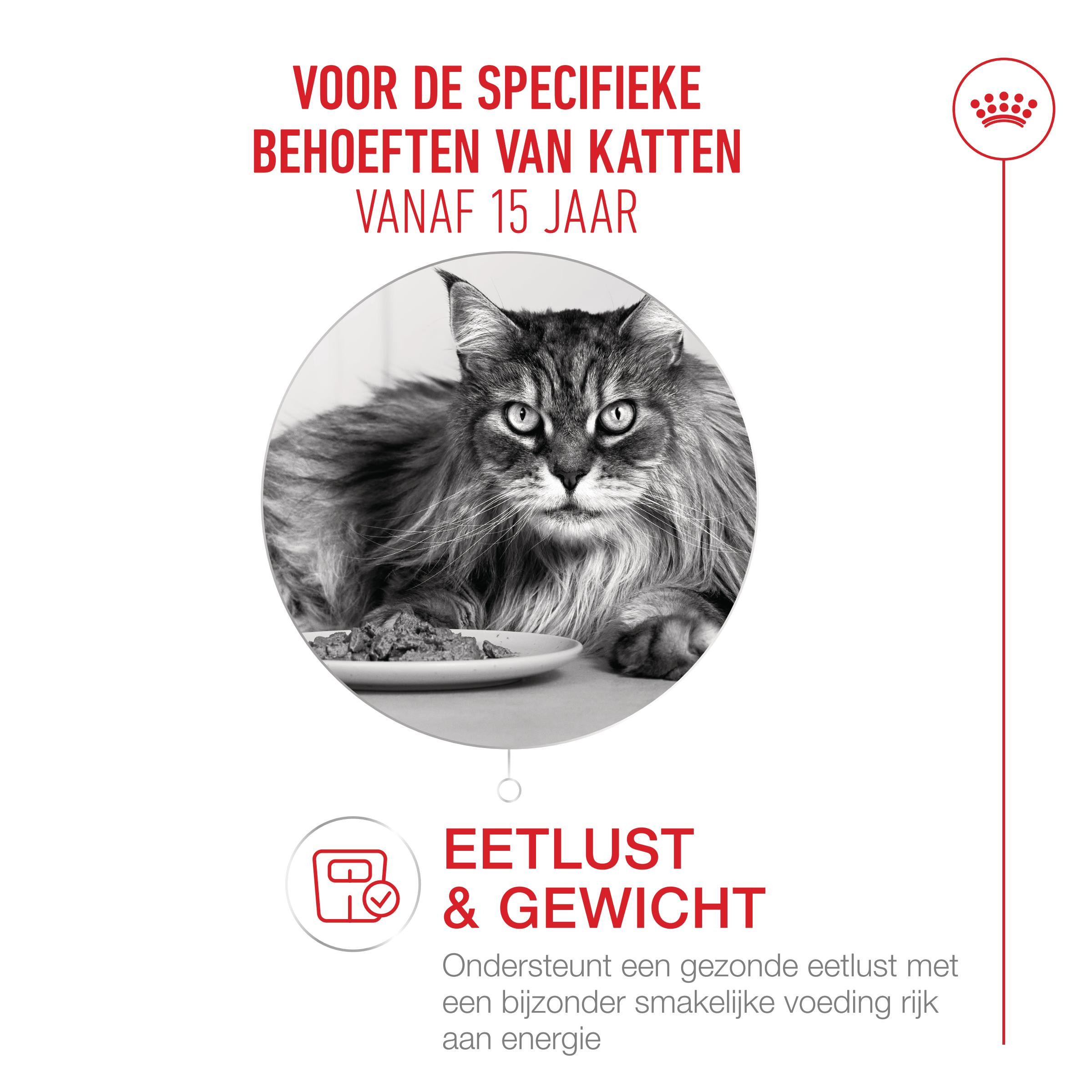 Royal Canin Ageing 15+ natvoer kat (in saus)