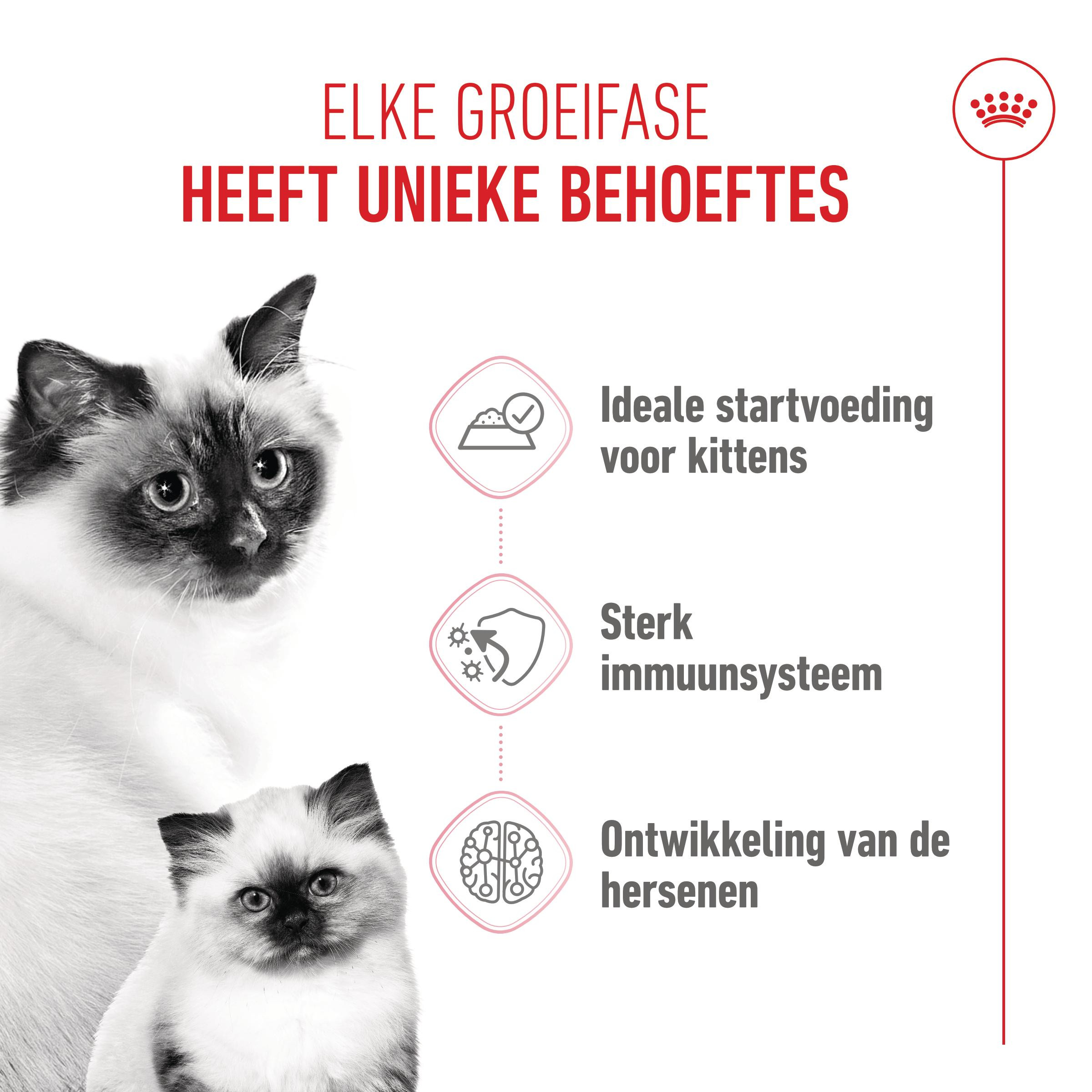 Royal Canin Mother & Babycat natvoer kat (mousse)