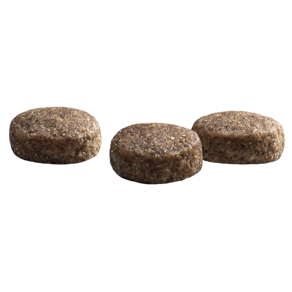 Prins ProCare Croque Senior Superior hondenvoer