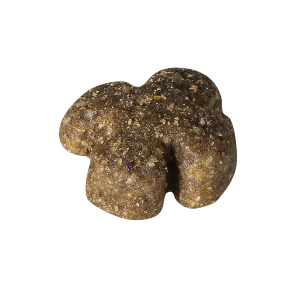 Prins Fit Selection met zalm en rijst hondenvoer