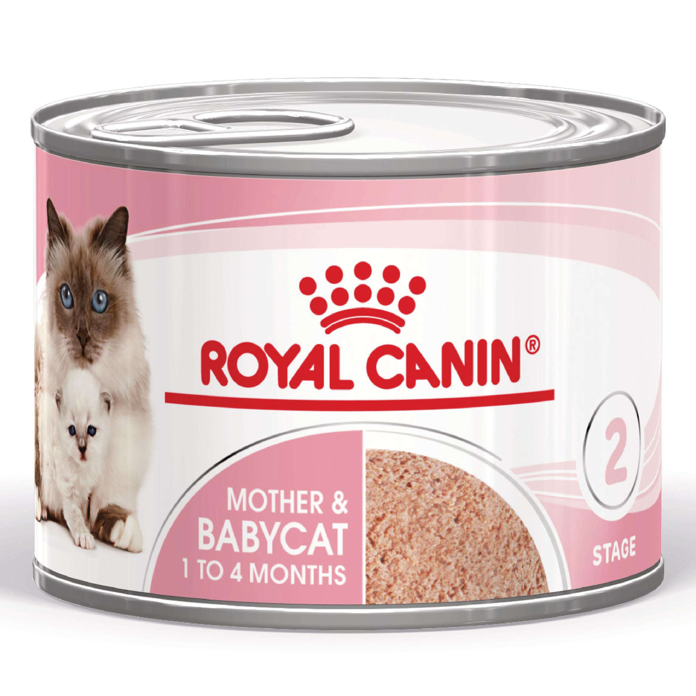 Royal Canin Mother & Babycat natvoer kat (mousse)