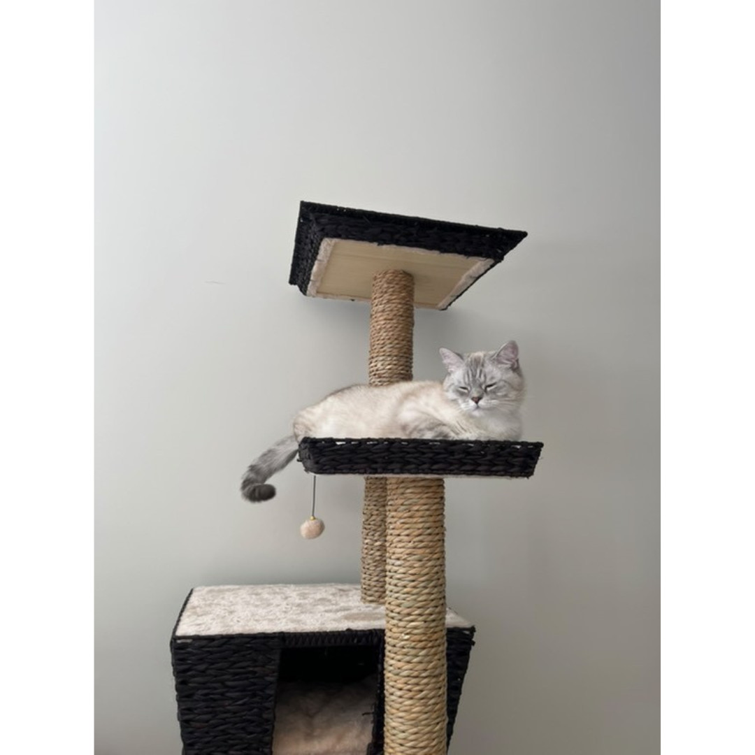 Krabpaal Trend Tree Curacao 48x48x141cm