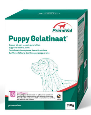 Primeval Puppy Gelatinaat voor de hond