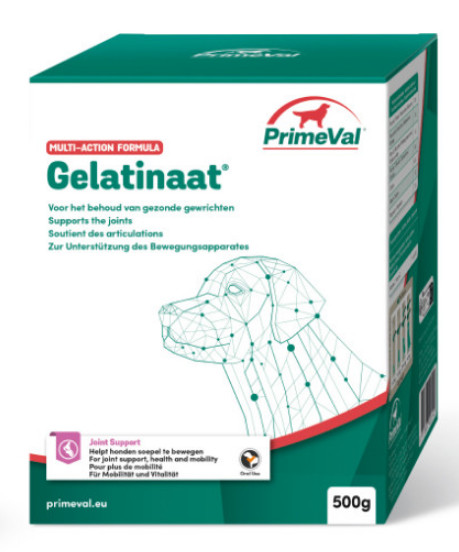 Primeval Gelatinaat