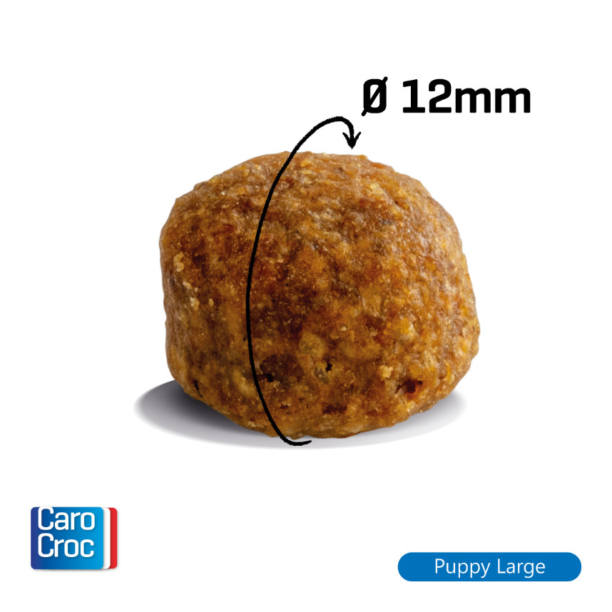 Carocroc 25/17 Puppy Large hondenvoer