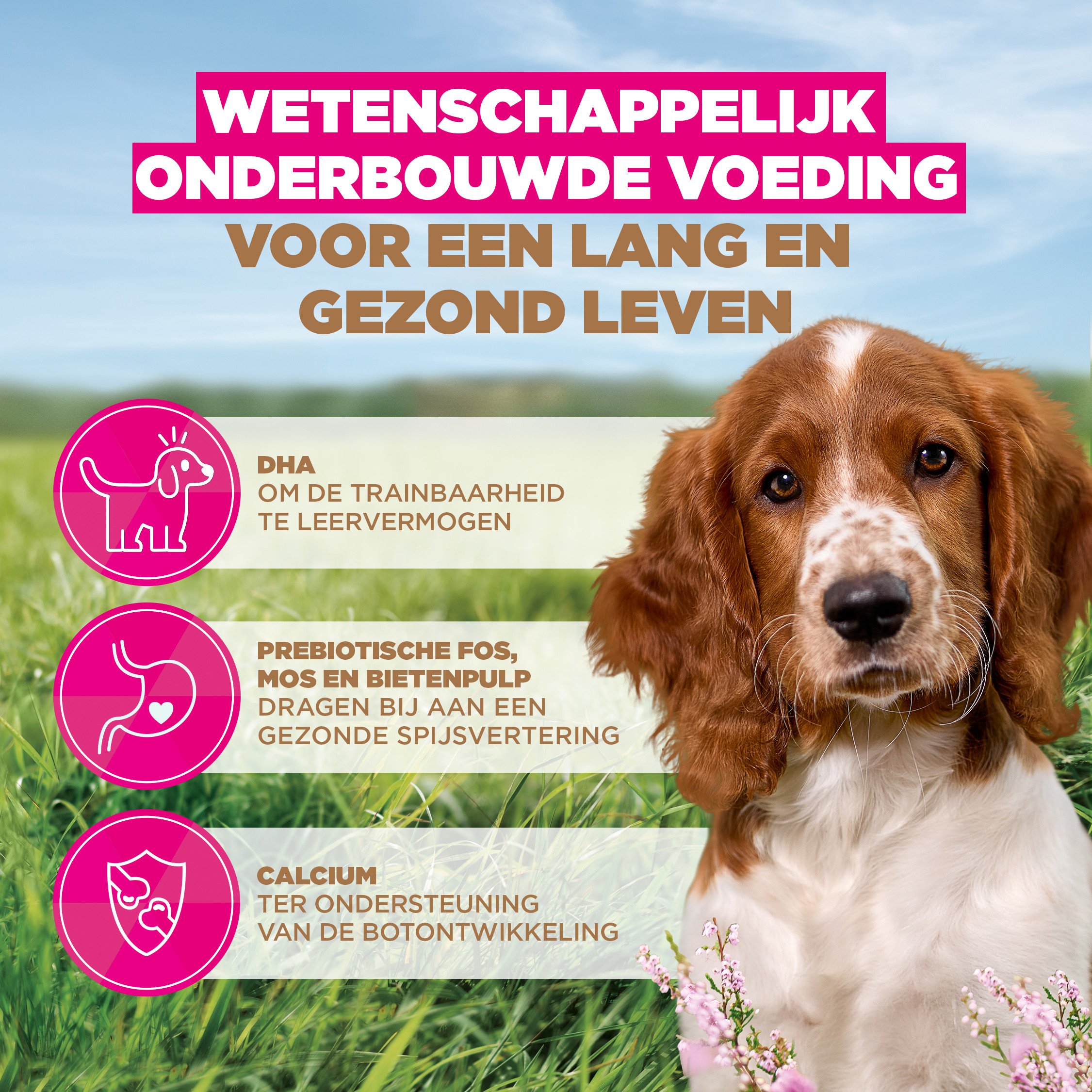 Eukanuba Puppy & Junior S/M graanvrij zeevis hondenvoer