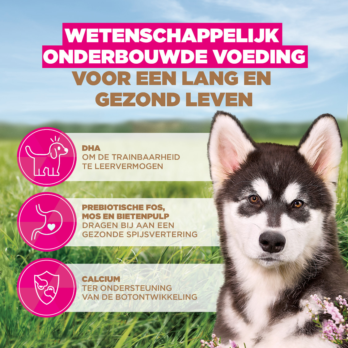 Eukanuba Puppy & Junior L/XL graanvrij zeevis hondenvoer