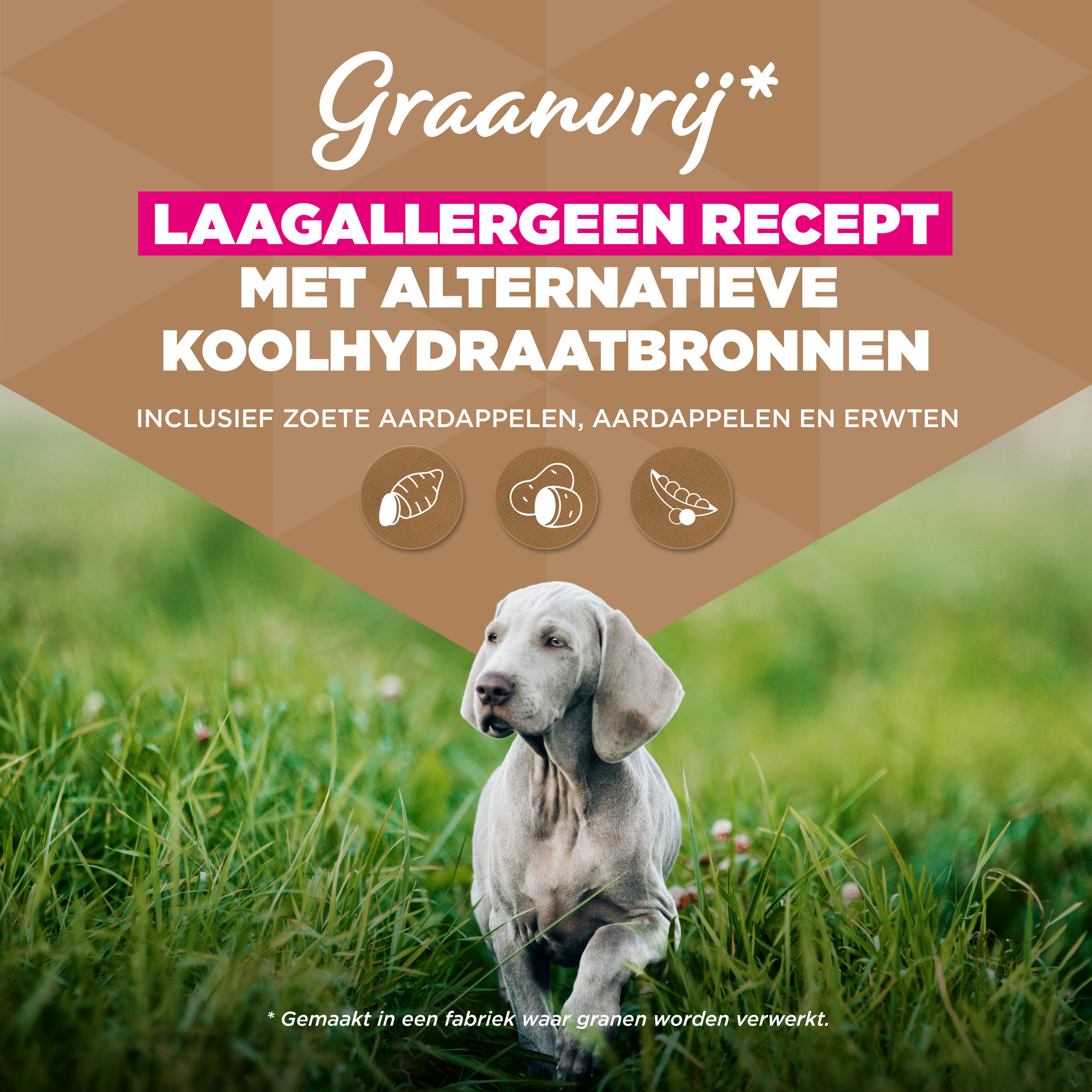 Eukanuba Puppy & Junior L/XL graanvrij zeevis hondenvoer