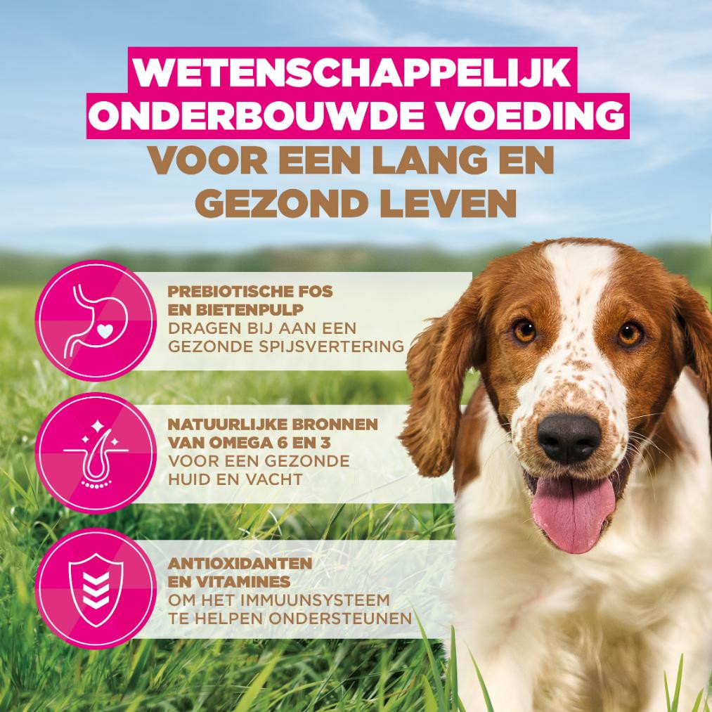 Eukanuba Adult S/M graanvrij zeevis hondenvoer