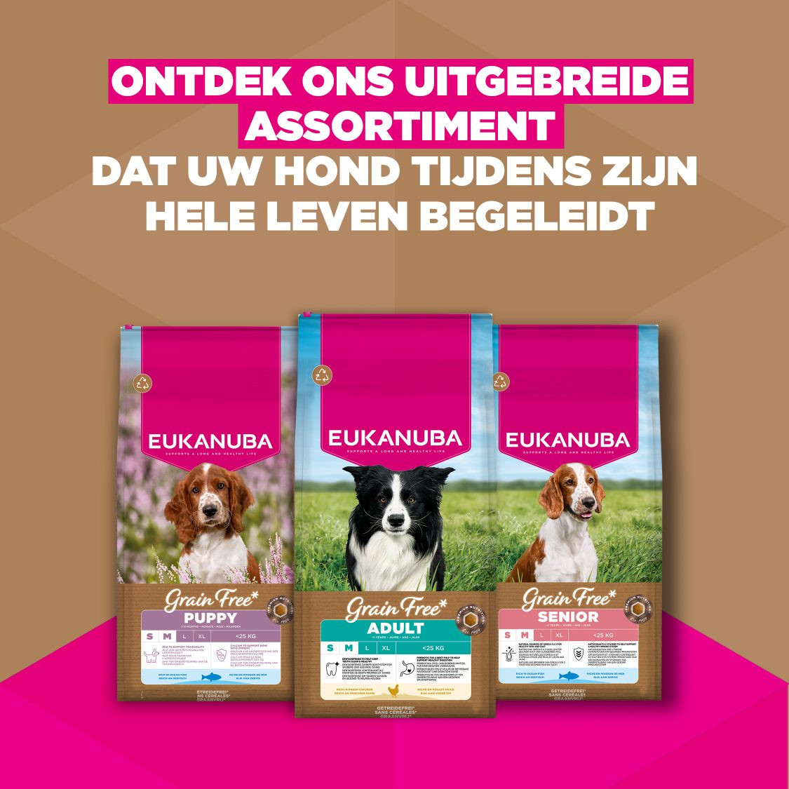 Eukanuba Adult Small & Medium kip graanvrij hondenvoer