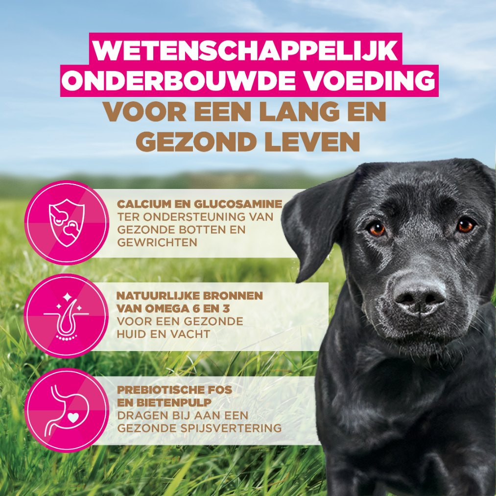 Eukanuba Adult Large kip graanvrij hondenvoer