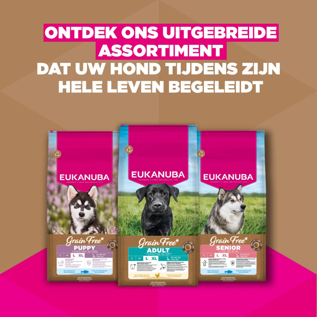 Eukanuba Adult Large kip graanvrij hondenvoer
