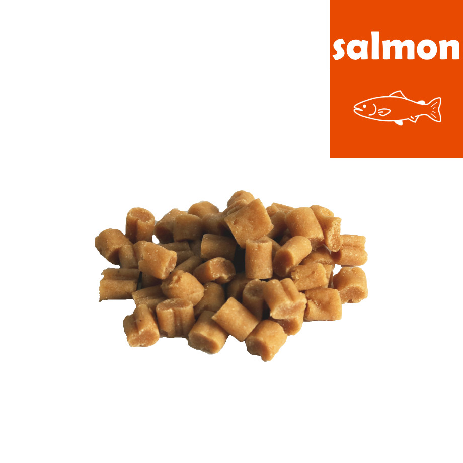 Brekz Lukos Trainer Treats Salmon voor de hond