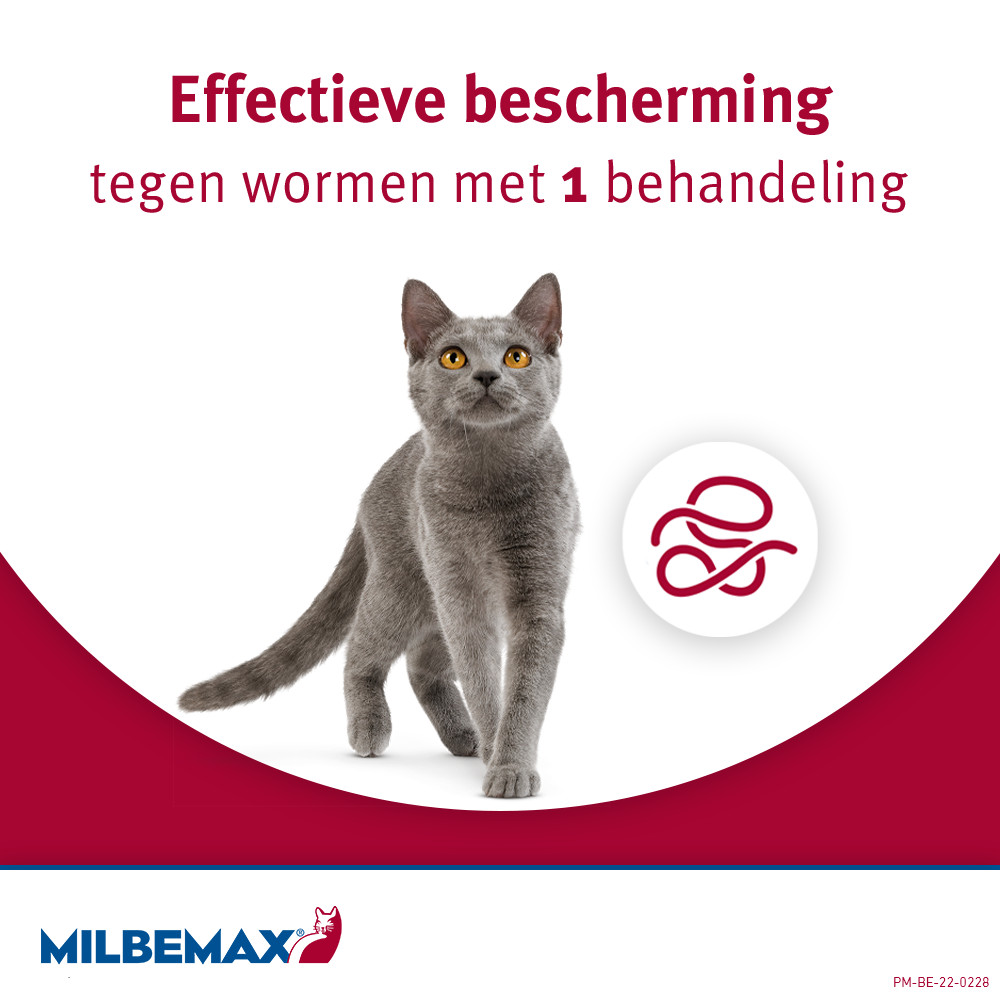Milbemax Kleine katten en kittens