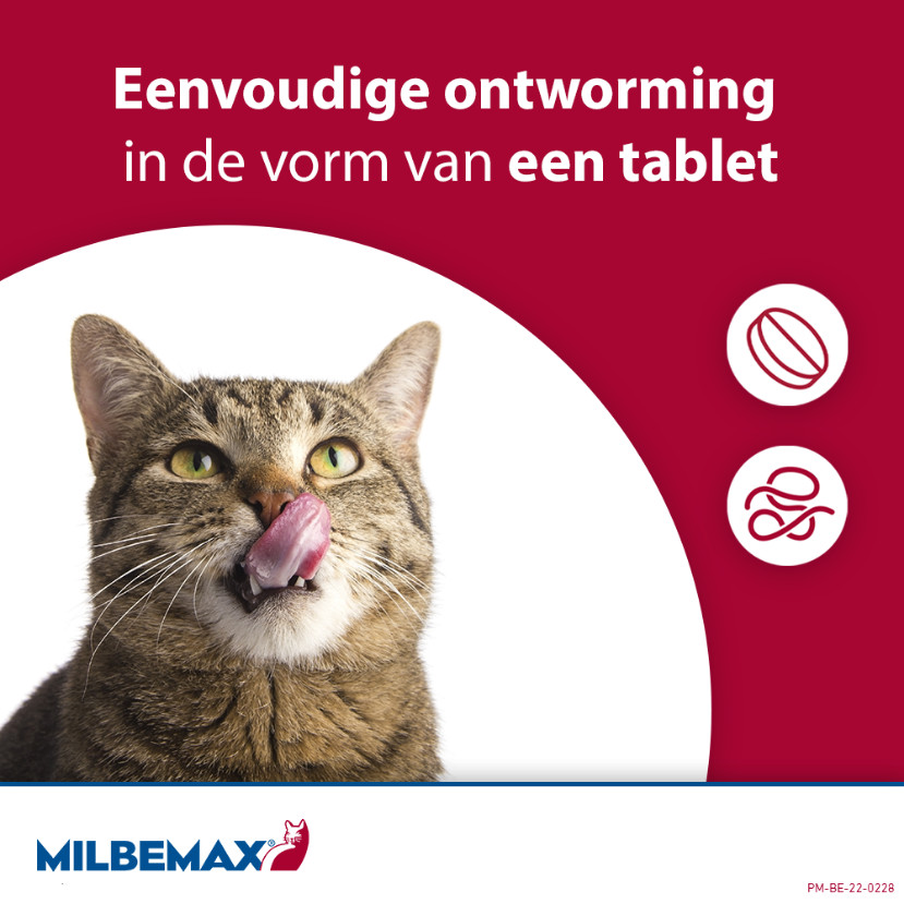Milbemax Kleine katten en kittens