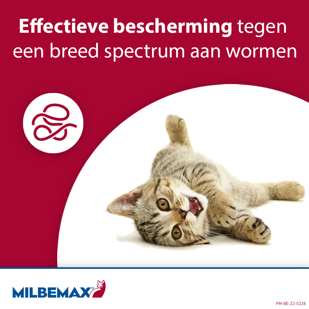 Milbemax ontwormingstabletten kat 2+ kg