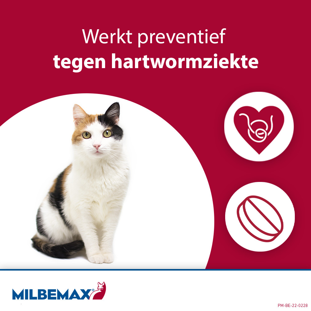 Milbemax ontwormingstabletten kat 2+ kg