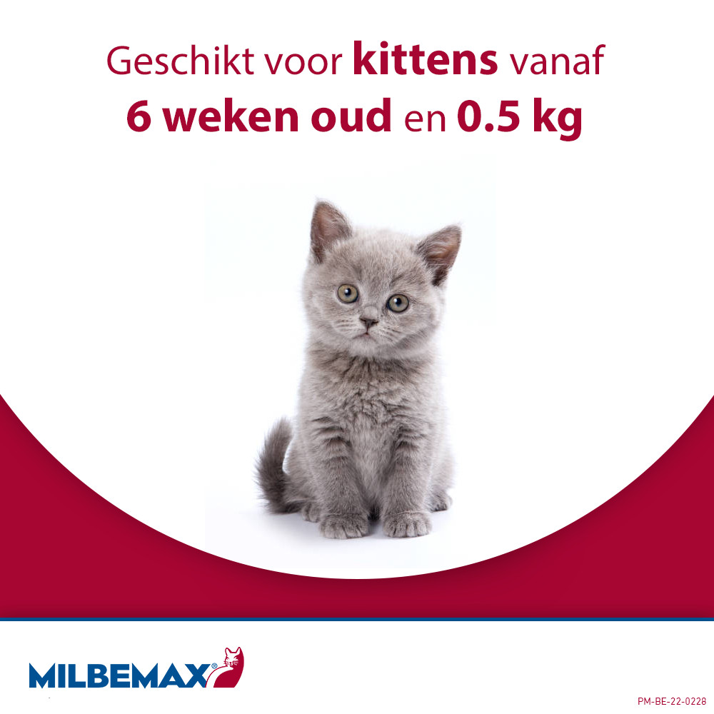 Milbemax ontwormingstabletten kat 2+ kg